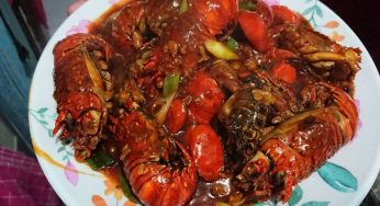 Lobster Oyster Sauce: A Gourmet Delight at Le Stanze Bistrot Cafe